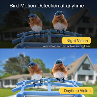 Show full view: Aoruefar Smart Bird Feeder with Camera, Blue slide 5 of 7