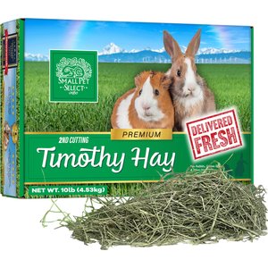Small Pet Select Second Cut Timothy Hay Small Animal Food, 10-lb box