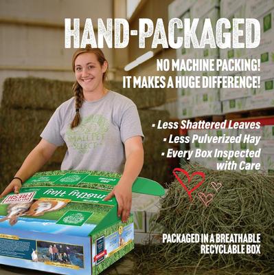 Show full view: Small Pet Select Second Cut Timothy Hay Small Animal Food, 10-lb box slide 3 of 7