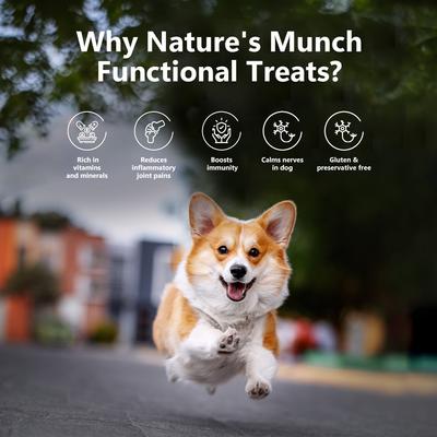 Show full view: Pawfect Nature's Munch Freeze-Dried Functional Joint Mobility Cheese Dog Treat, 2.65-oz canister slide 5 of 9