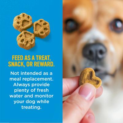 Show full view: Blue Dog Bakery Perfect Trainers Beef Soft & Chewy Dog Treats, 6-oz bag slide 10 of 10