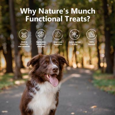 Show full view: Pawfect Nature's Munch Freeze-Dried Functional Health & Digestion Cheese Dog Treat, 2.65-oz canister slide 5 of 9