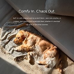 Pet Parents Washable Male & Female Dog Diapers + Extendrs, Daisy, 3 count, Medium slide 2 of 7