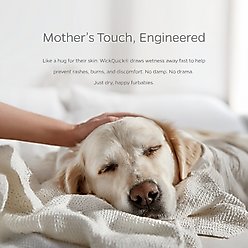 Pet Parents Washable Male & Female Dog Diapers + Extendrs, Daisy, 3 count, Small slide 2 of 7