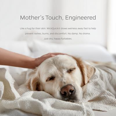 Show full view: Pet Parents Washable Male & Female Dog Diapers + Extendrs, Daisy, 3 count, Large slide 6 of 10