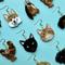 Show in main carousel: Not Picasso Tabby Cat Earrings slide 4 of 6