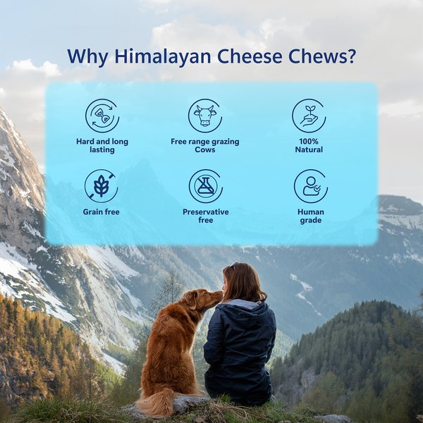 Pawfect Himalayan Cheese Chews Small All Natural High-Protein Grain-Free Dental Dog Treats, 3 count