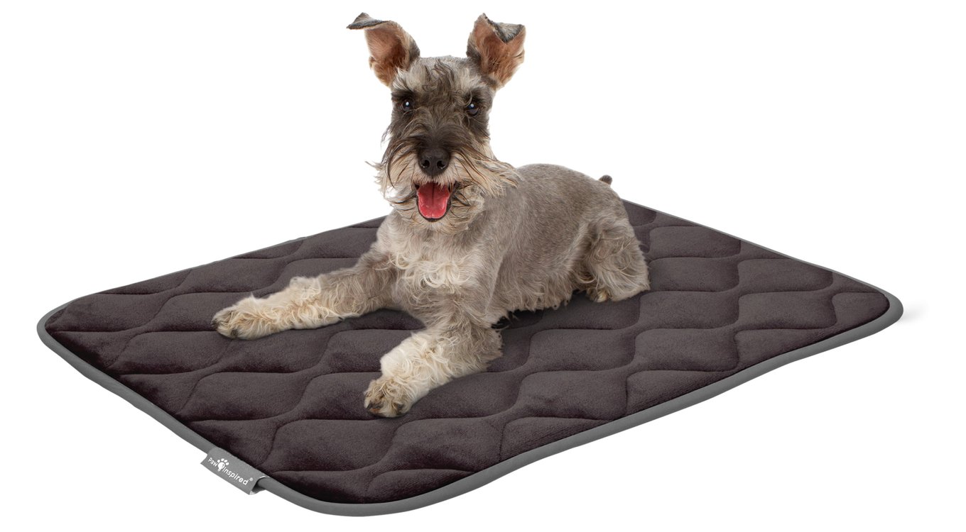 Image showcasing PAW INSPIRED Washable Padded Dog Crate Mat, Gray, 24-in - Chewy.com