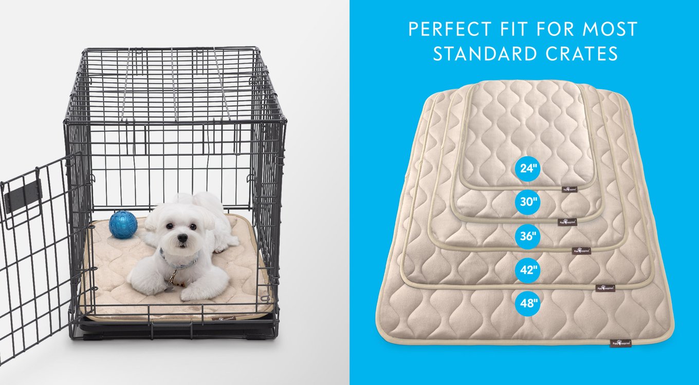 PAW INSPIRED Washable Padded Dog Crate Mat, Gray, 24-in - Chewy.com