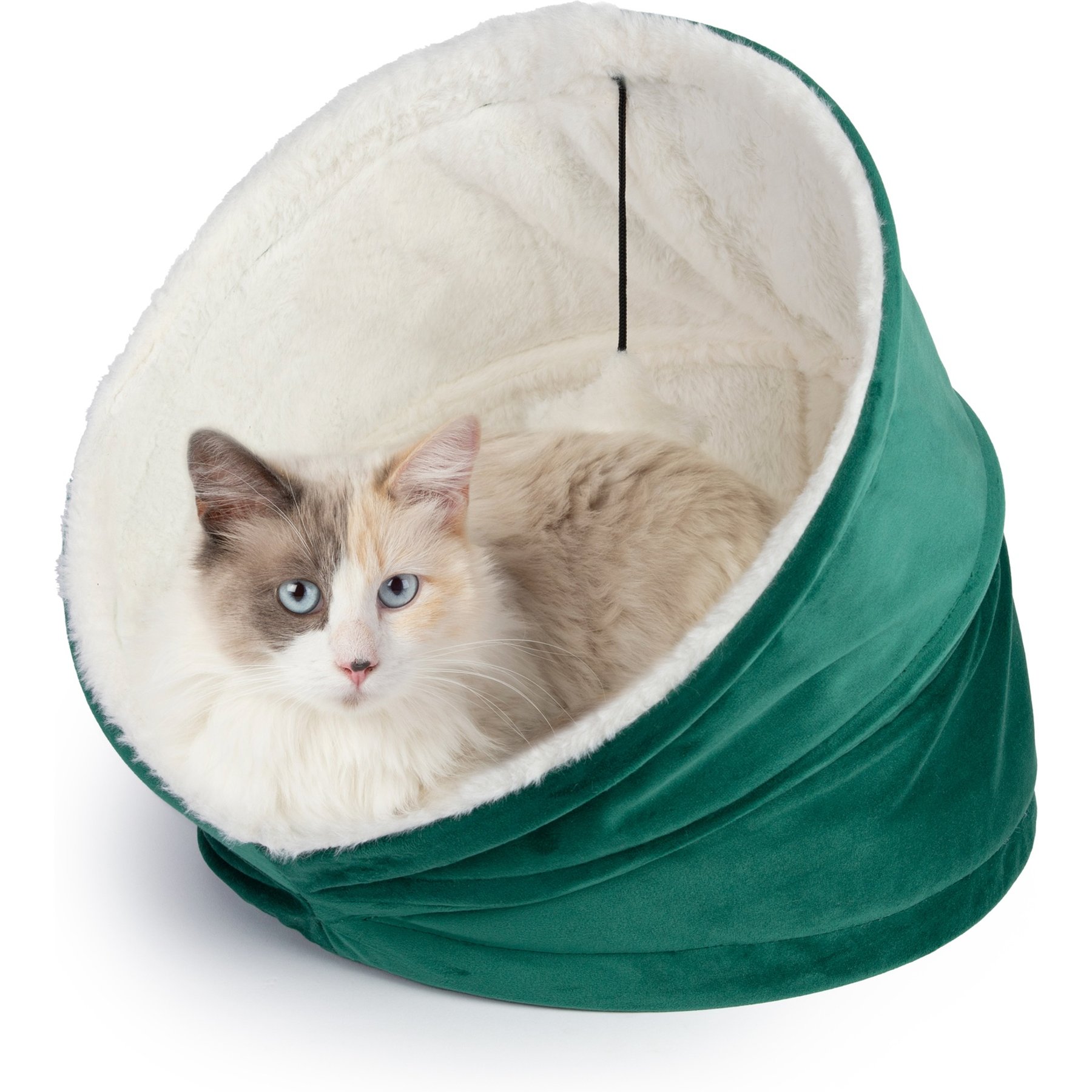 Sherry Kline Pet Collection House/Hut Cat Bed, 16-in, Green