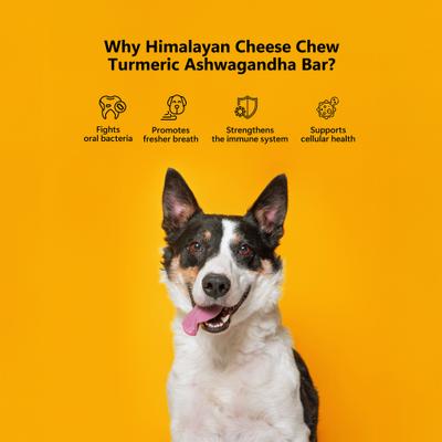 Show full view: Pawfect Himalayan Cheese Chews Large All Natural High-Protein Grain-Free with Turmeric & Ashwagandha-Indian Ginseng Dental Dog Treats, 3 count slide 5 of 9