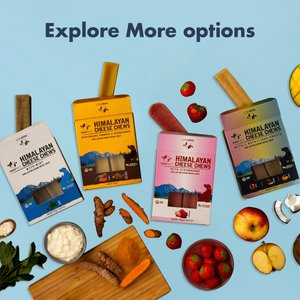 Pawfect Himalayan Cheese Bars Mixed Fruit Dog Chews, Medium, 10 count