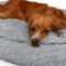 Show in main carousel: Sherry Kline Pet Collection Shaggy Fur Rectangle Dog Bed, Light Grey, 26 x 36 x 4-in slide 4 of 5