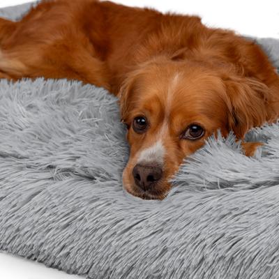 Show full view: Sherry Kline Pet Collection Shaggy Fur Rectangle Dog Bed, Light Grey, 26 x 36 x 4-in slide 4 of 5