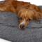 Show in main carousel: Sherry Kline Pet Collection Shaggy Fur Rectangle Pillow Dog Bed, 26-in, Dark Grey slide 4 of 5