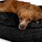 Show in main carousel: Sherry Kline Pet Collection Shaggy Fur Rectangle Pillow Dog Bed, 26-in, Black slide 4 of 5