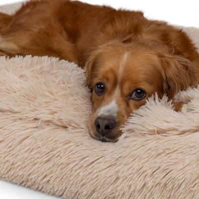 Show full view: Sherry Kline Pet Collection Shaggy Fur Rectangle Dog Bed, Taupe, 30 x 42 x 4-in slide 4 of 5