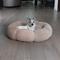 Show in main carousel: Sherry Kline Pet Collection Daisy Round Dog Bed, Taupe, 36 x 36 x 5-in slide 3 of 5
