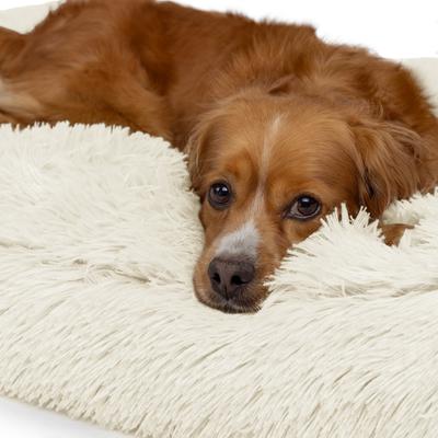 Show full view: Sherry Kline Pet Collection Shaggy Fur Rectangle Dog Bed, Natural, 20 x 26 x 3-in slide 4 of 5