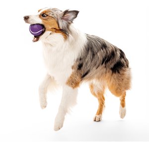 Playology Bacon Scented Squeaky Chew Ball Dog Toy, Jumbo