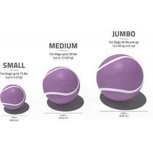 Playology Bacon Scented Squeaky Chew Ball Dog Toy, Jumbo