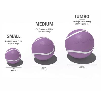 Show full view: Playology Bacon Scented Squeaky Chew Ball Dog Toy, Jumbo slide 6 of 8