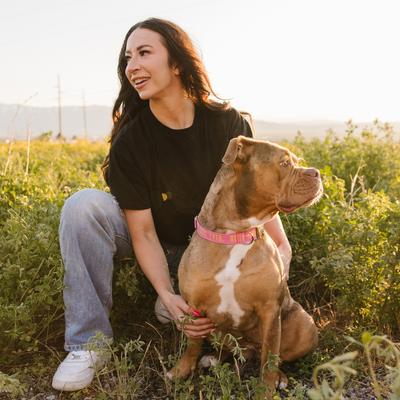 Show full view: Zaley Designs Best Dog Ever Cotton Dog Collar, Pink & Yellow, Large: 15 to 25-in neck, 1-in wide slide 7 of 8