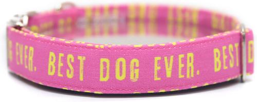 Show full view: Zaley Designs Best Dog Ever Cotton Dog Collar, Pink & Yellow, Large: 15 to 25-in neck, 1-in wide slide 5 of 8