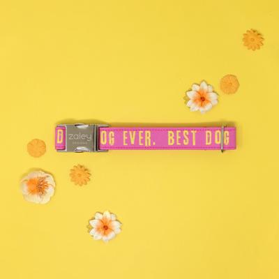 Show full view: Zaley Designs Best Dog Ever Cotton Dog Collar, Pink & Yellow, Large: 15 to 25-in neck, 1-in wide slide 6 of 8