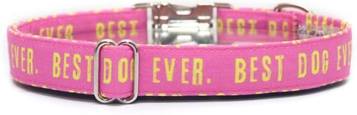 Show full view: Zaley Designs Best Dog Ever Cotton Dog Collar, Pink & Yellow, Large: 15 to 25-in neck, 1-in wide slide 3 of 8