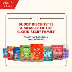 Buddy Biscuits Crunchy Wheat-Free Pumpkin Flavored Halloween Dog Treats, 14-oz box slide 2 of 9