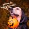 Show in main carousel: Buddy Biscuits Crunchy Wheat-Free Pumpkin Flavored Halloween Dog Treats, 14-oz box slide 8 of 11