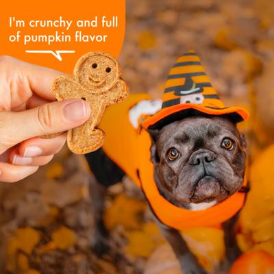 Show full view: Buddy Biscuits Crunchy Wheat-Free Pumpkin Flavored Halloween Dog Treats, 14-oz box slide 5 of 11