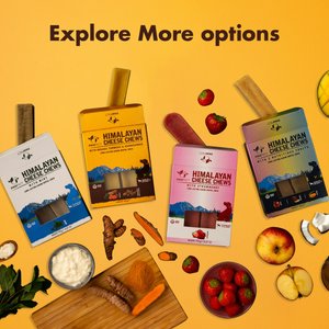 Pawfect Himalayan Cheese Bars Turmeric Dog Chews, Medium, 10 count