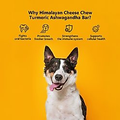 Pawfect Himalayan Cheese Bars Small Turmeric Dog Chews, 10 count slide 2 of 7