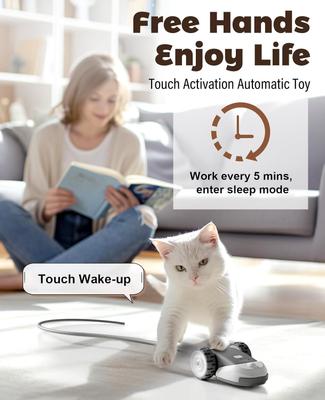 Show full view: Casfuy 2-Speed Erratic Mouse Motion 3-in-1 Interactive Cat Toy with Feathers & Silicone Tail, Grey slide 7 of 9