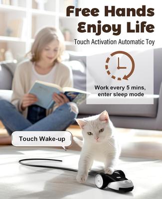 Show full view: Casfuy 2-Speed Erratic Mouse Motion 3-in-1 Interactive Cat Toy with Feathers & Silicone Tail, Black slide 6 of 8