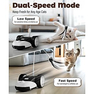 Casfuy 2-Speed Erratic Mouse Motion 3-in-1 Interactive Cat Toy with Feathers & Silicone Tail, Black