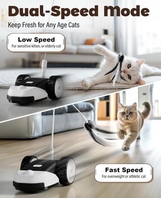 Show full view: Casfuy 2-Speed Erratic Mouse Motion 3-in-1 Interactive Cat Toy with Feathers & Silicone Tail, Black slide 5 of 8