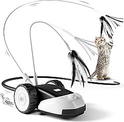 Casfuy 2-Speed Erratic Mouse Motion 3-in-1 Interactive Cat Toy with Feathers & Silicone Tail, Black