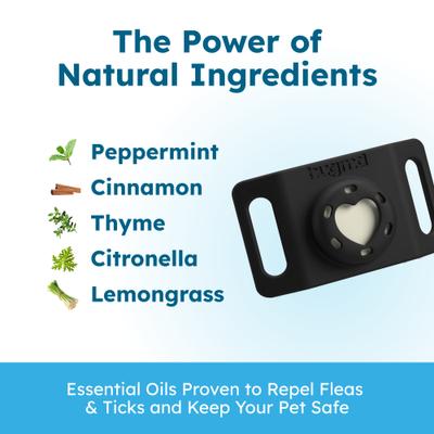 Show full view: BugMD Paw Guardian Dog & Cat Flea Collar Tag slide 3 of 9