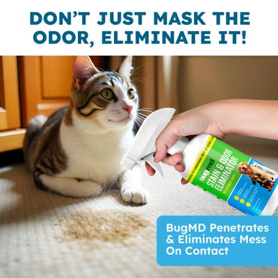 Show full view: BugMD Stain & Odor Eliminator, 32-fl oz bottle slide 5 of 7