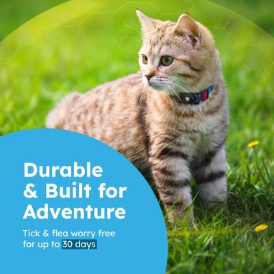 Show full view: BugMD Paw Guardian Dog & Cat Flea Collar Tag slide 5 of 9