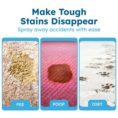 Show full view: BugMD Stain & Odor Eliminator, 32-fl oz bottle slide 2 of 7