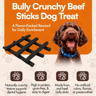 Show full view: The Treat Shack 6-in Bully Crunchy Beef Sticks Dog Treat, 12 count slide 4 of 9