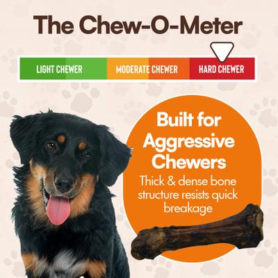 Show full view: The Treat Shack 8-in Extra Meaty Beef Foreshank Bone Dog Chew Treat, 6 count slide 5 of 9