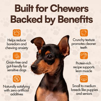 Show full view: The Treat Shack 6-in Bully Crunchy Beef Sticks Dog Treat, 24 count slide 7 of 9