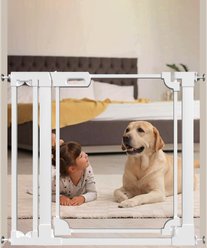 WAOWAO Auto Close Clear Acrylic Dog Gate for Stairs, 29-38-in, White