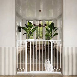 WAOWAO Extra Wide Pressure Mounted Walk-Through Metal Dog Gate 33-43-in, White