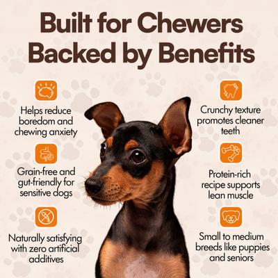 Show full view: The Treat Shack 6-in Bully Crunchy Beef Sticks Dog Treat, 12 count slide 7 of 9